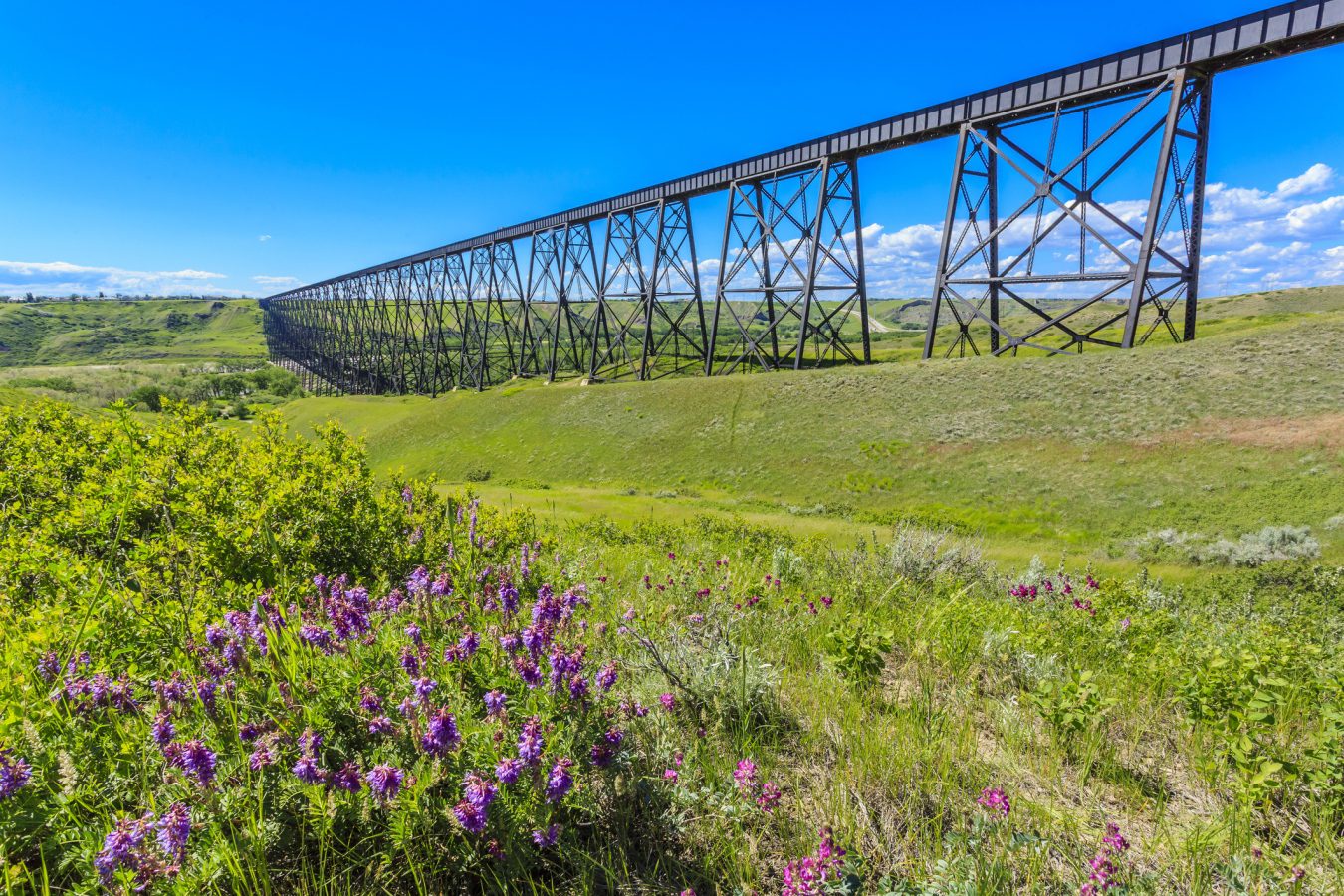 Lethbridge — Alberta — Canada - ZO ARTS Global